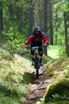 Holm Grimsruds bilde